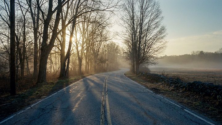 Illustration of an empty two lane road at sunrise, with low sun through bare trees on the left and mist over a field on the right