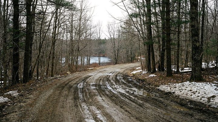 Illustration of a rutted gravel road curving through bare woods toward a gray lake, with mud, puddles, and old snow