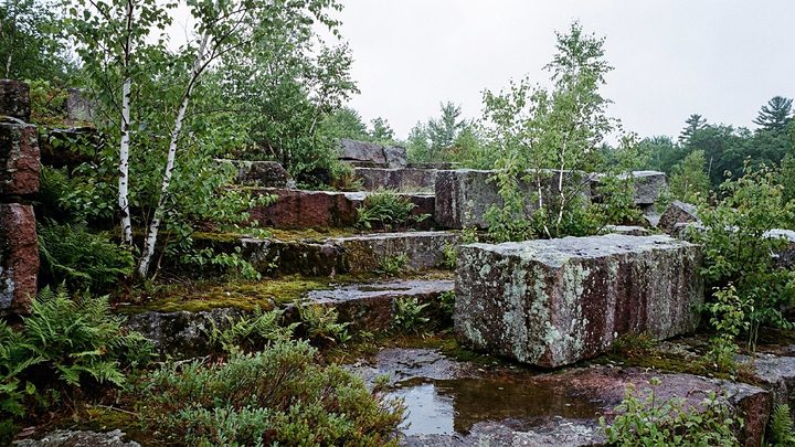 Illustration of stepped granite ledges and squared blocks left in an old quarry, with birch saplings, ferns, and standing water