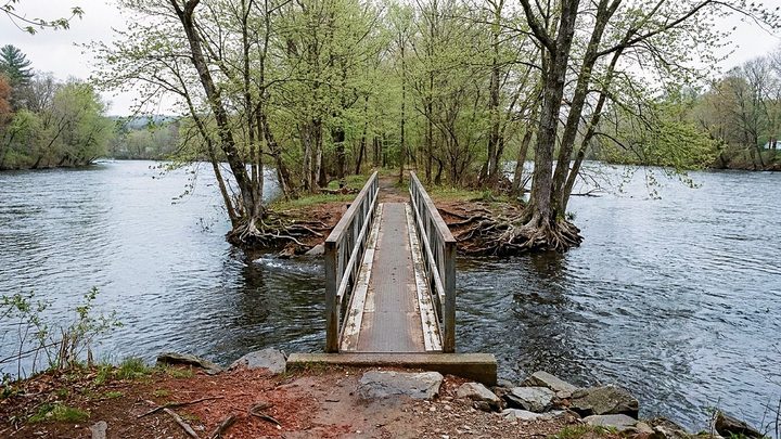 Illustration of a metal footbridge with railings crossing to a small wooded river island, with roots exposed at the waterline