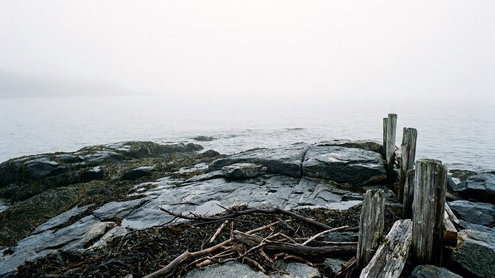 Illustration of a fogbound rocky shore with no horizon left, where drift logs and weathered posts sit on wet granite